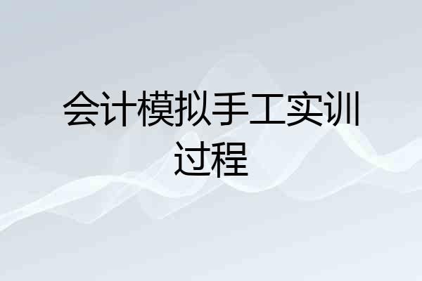 会计模拟手工实训过程
