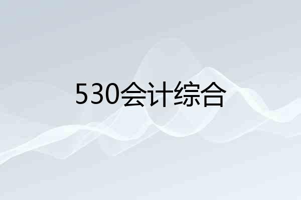 530会计综合