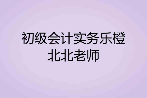 初级会计实务乐橙北北老师