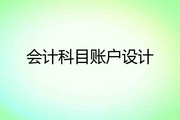 会计科目账户设计