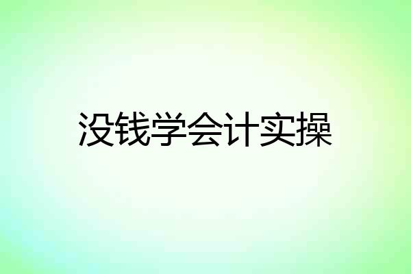 没钱学会计实操