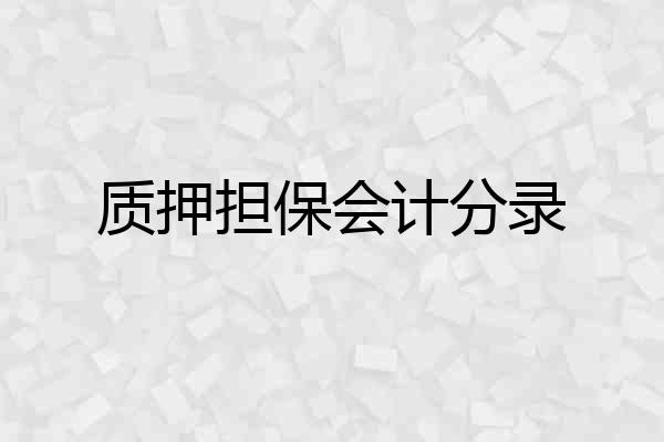 质押担保会计分录