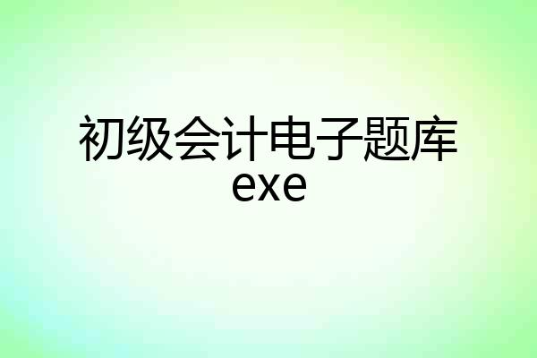 初级会计电子题库exe