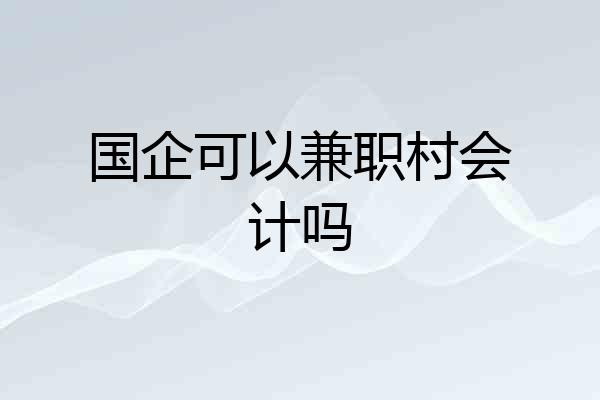 国企可以兼职村会计吗
