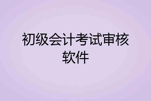 初级会计考试审核软件