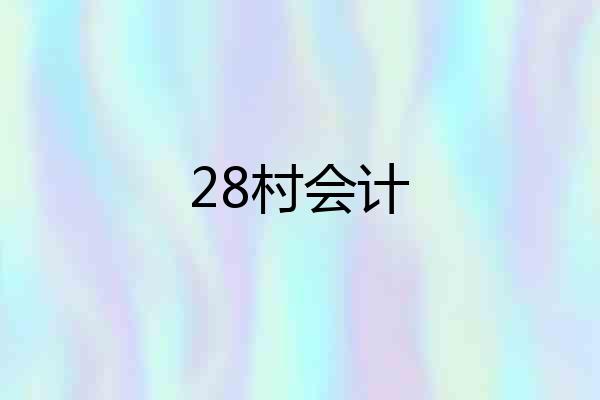 28村会计