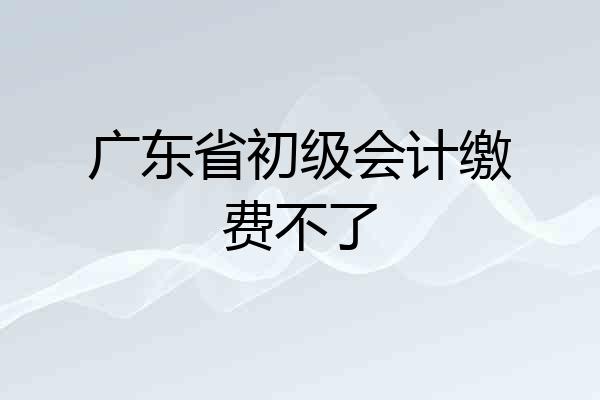 广东省初级会计缴费不了