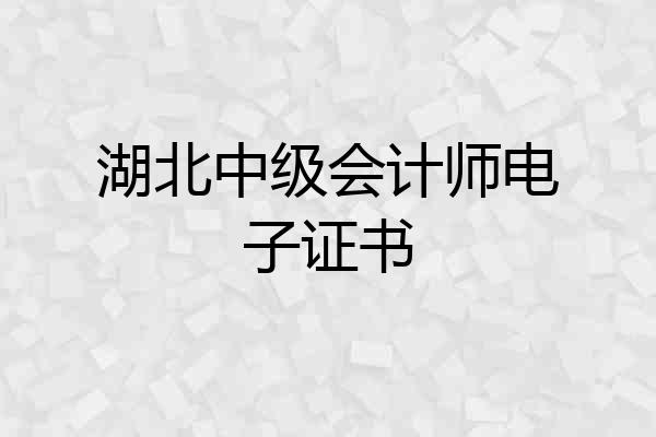 湖北中级会计师电子证书