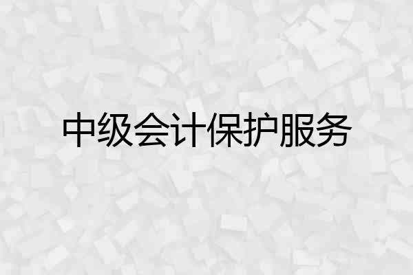 中级会计保护服务