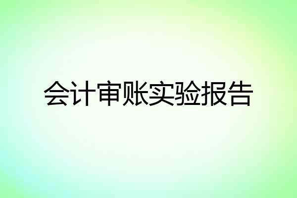 会计审账实验报告
