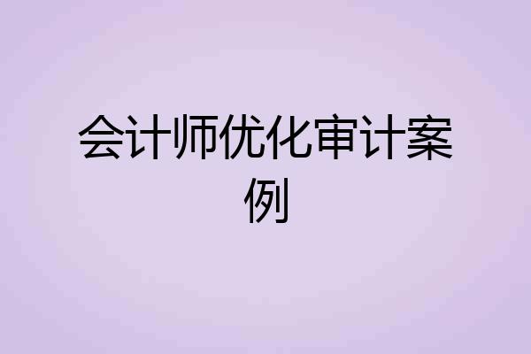 会计师优化审计案例