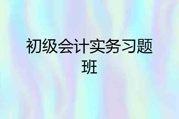 初级会计实务习题班