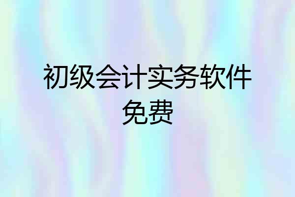 初级会计实务软件免费