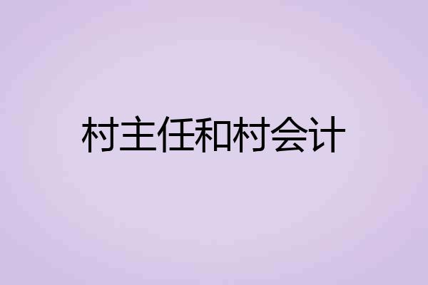 村主任和村会计