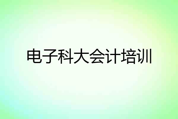 电子科大会计培训