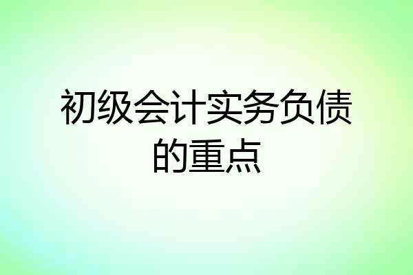 初级会计实务负债的重点