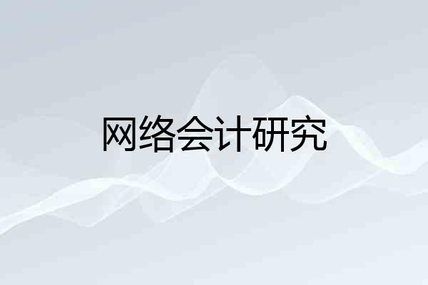网络会计研究