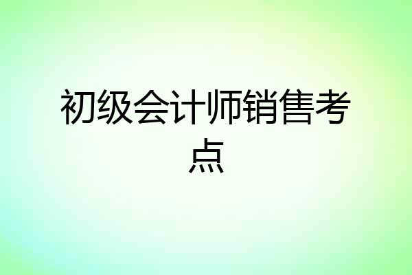 初级会计师销售考点