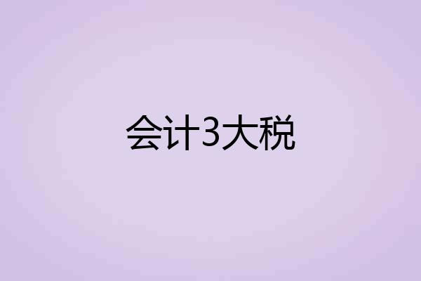 会计3大税