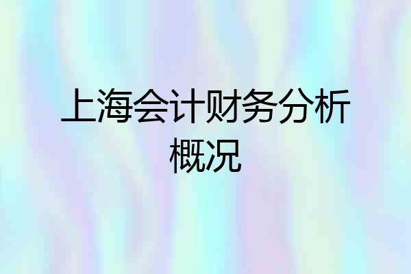 上海会计财务分析概况