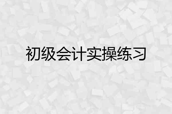 初级会计实操练习