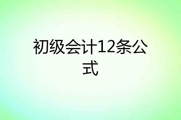 初级会计12条公式
