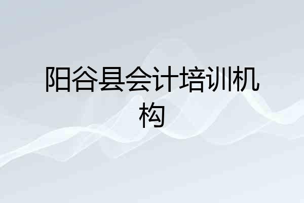 阳谷县会计培训机构