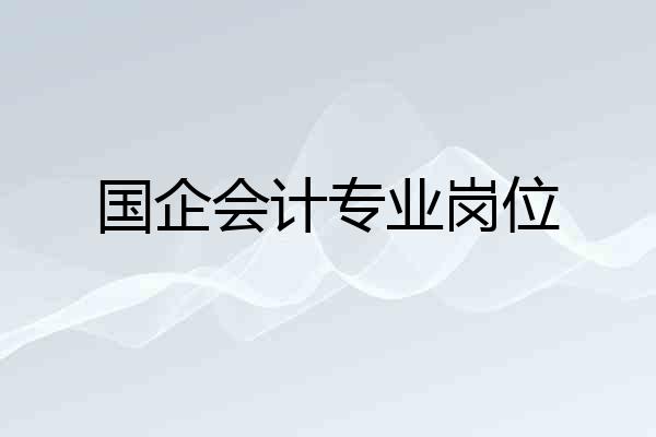 国企会计专业岗位