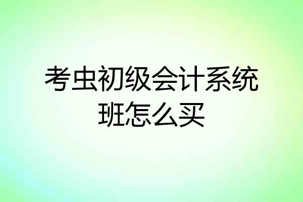 考虫初级会计系统班怎么买