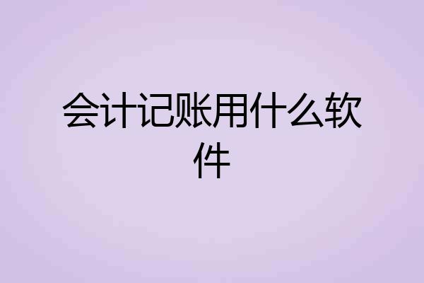 会计记账用什么软件