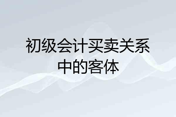 初级会计买卖关系中的客体