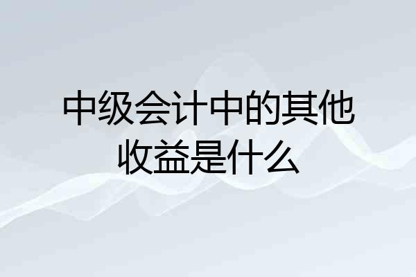 中级会计中的其他收益是什么