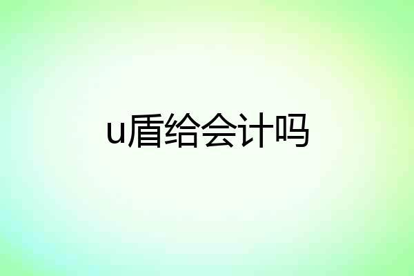 u盾给会计吗