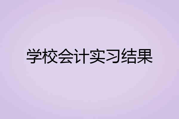 学校会计实习结果