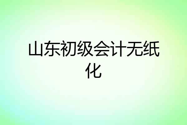 山东初级会计无纸化