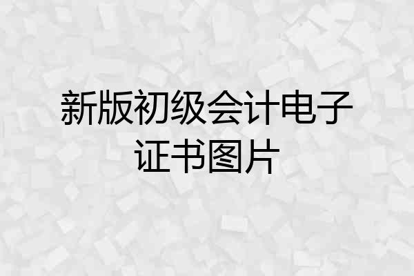 新版初级会计电子证书图片