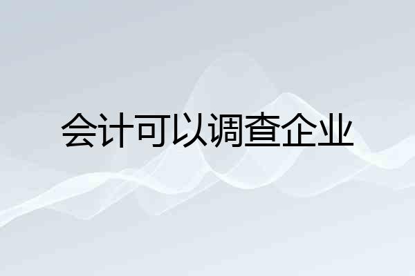会计可以调查企业