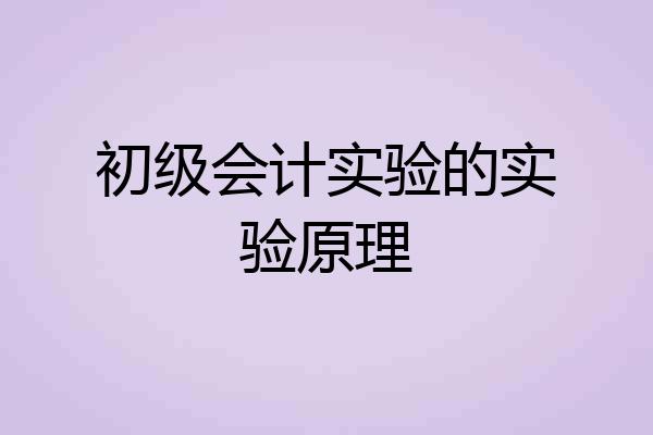 初级会计实验的实验原理