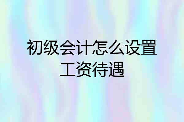 初级会计怎么设置工资待遇