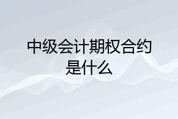 中级会计期权合约是什么