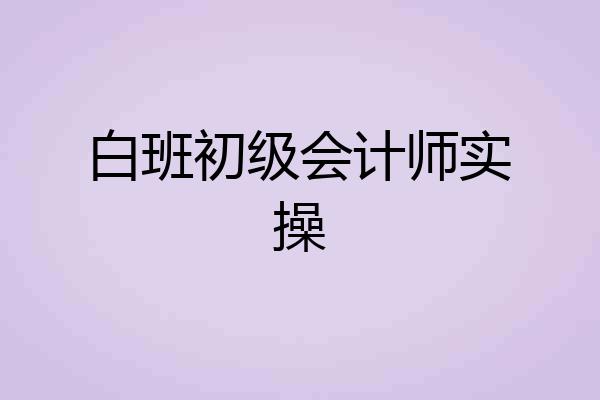 白班初级会计师实操