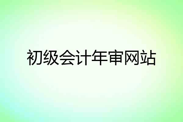 初级会计年审网站