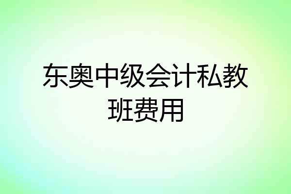 东奥中级会计私教班费用
