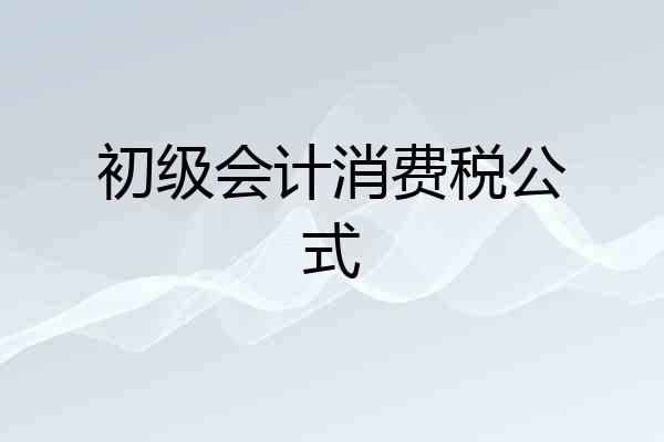 初级会计消费税公式