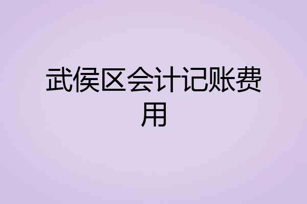 武侯区会计记账费用