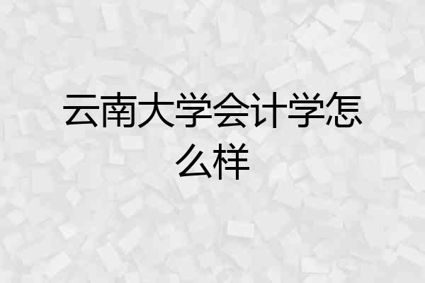 云南大学会计学怎么样