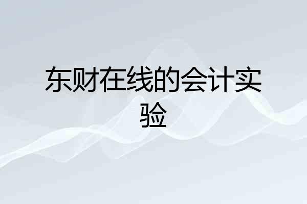 东财在线的会计实验