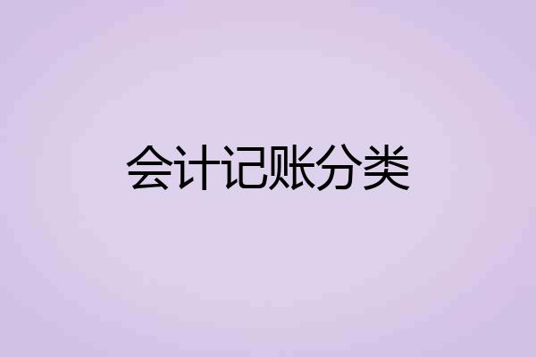 会计记账分类