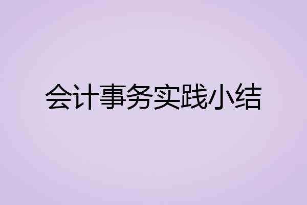 会计事务实践小结