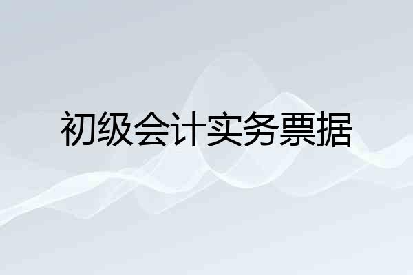 初级会计实务票据